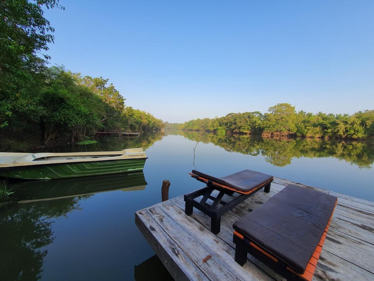 The Backwaters Lodge Wilpattu Zewnętrze zdjęcie