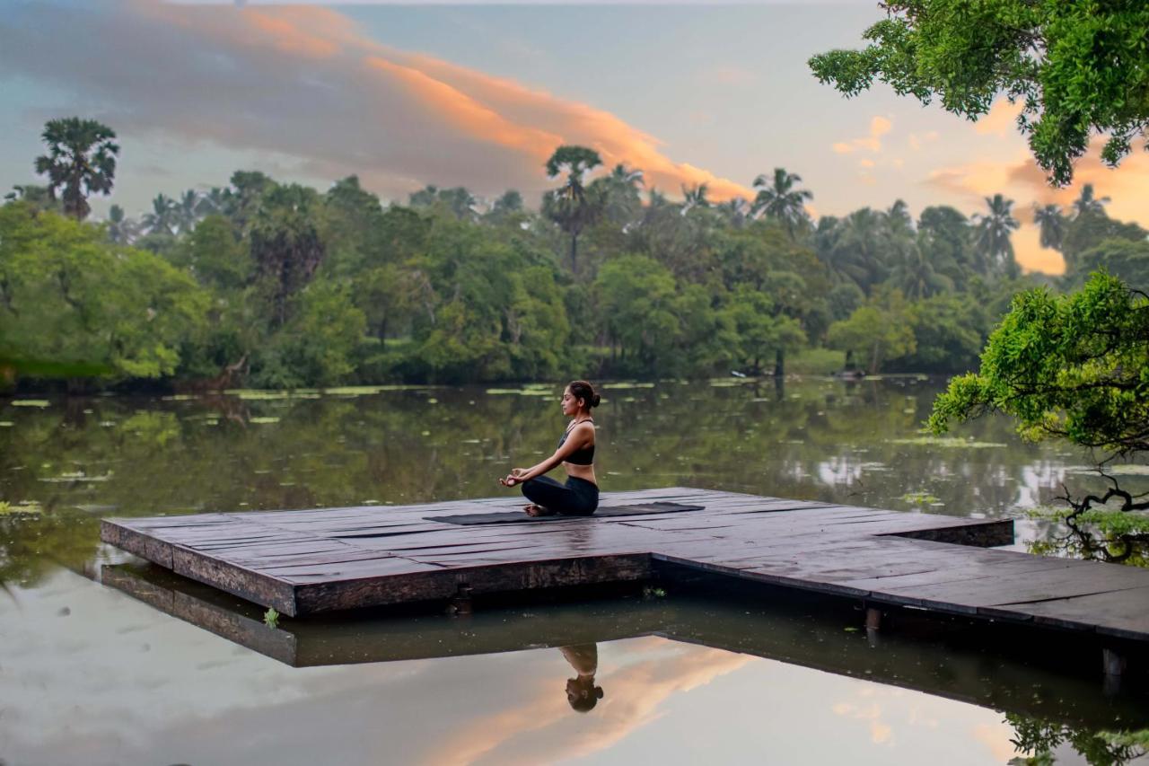 The Backwaters Lodge Wilpattu Zewnętrze zdjęcie