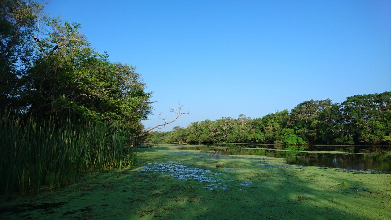 The Backwaters Lodge Wilpattu Zewnętrze zdjęcie