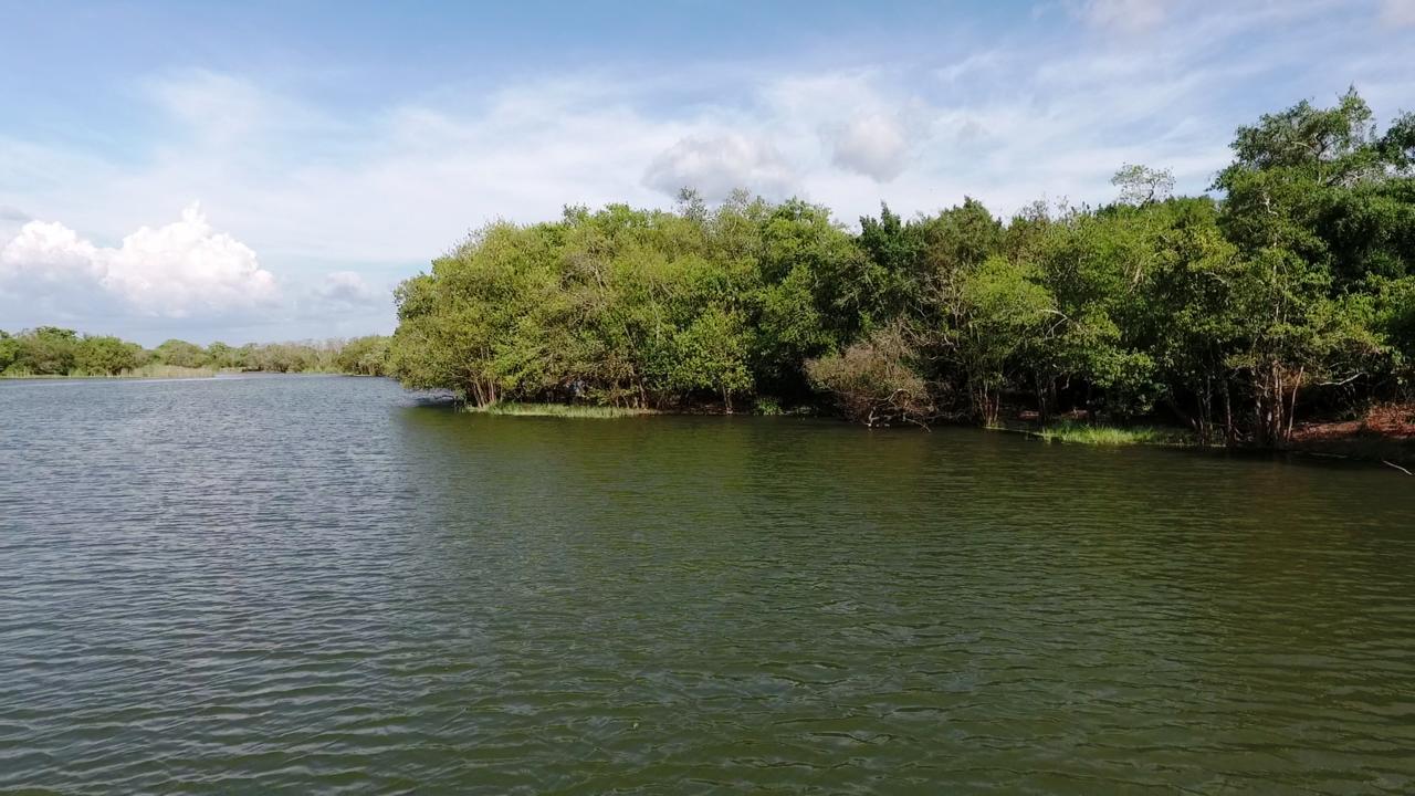 The Backwaters Lodge Wilpattu Zewnętrze zdjęcie