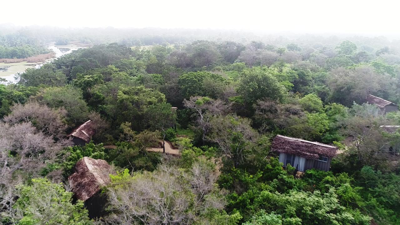 The Backwaters Lodge Wilpattu Zewnętrze zdjęcie