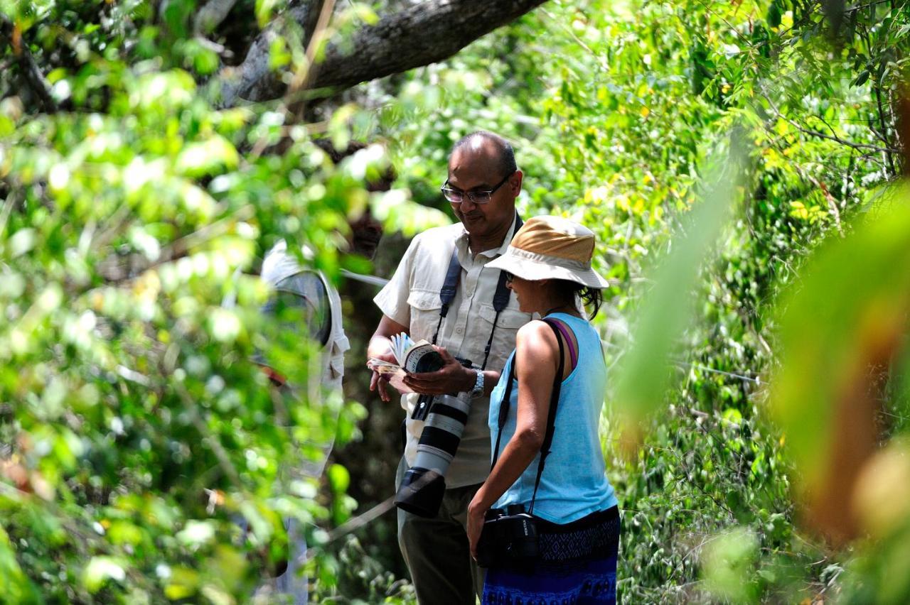 The Backwaters Lodge Wilpattu Zewnętrze zdjęcie