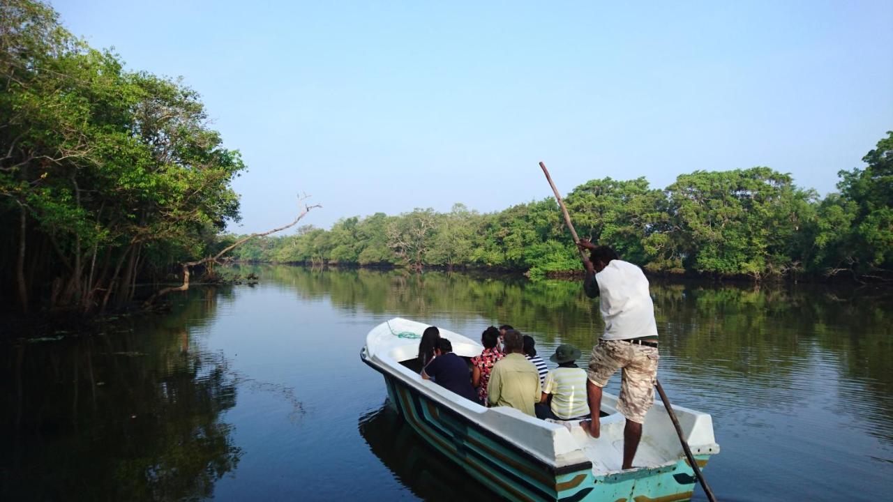 The Backwaters Lodge Wilpattu Zewnętrze zdjęcie