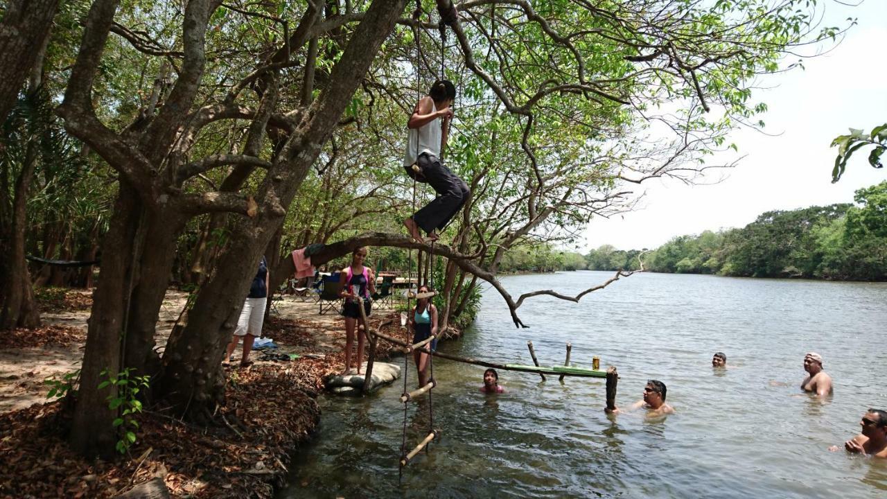 The Backwaters Lodge Wilpattu Zewnętrze zdjęcie